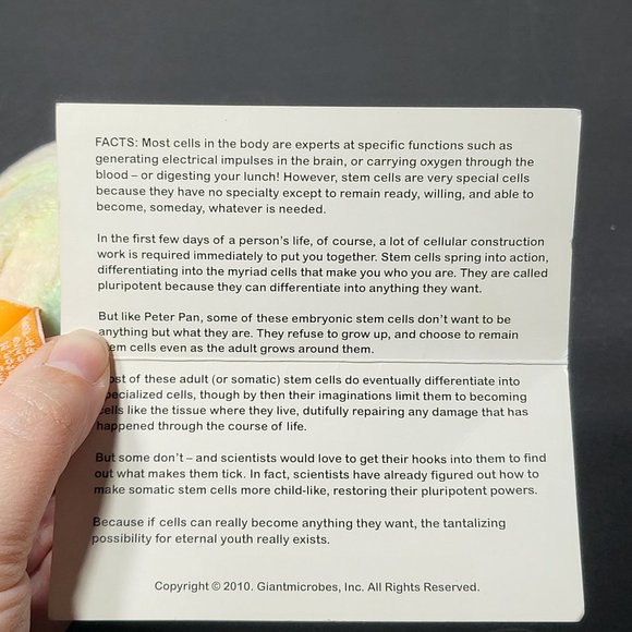 Giant Microbes by Drew Oliver Stem Cell Plush Educational Stuffed Animal Science - Picture 6 of 7